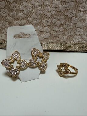 Earrings & Ring Set with Bag NWOT